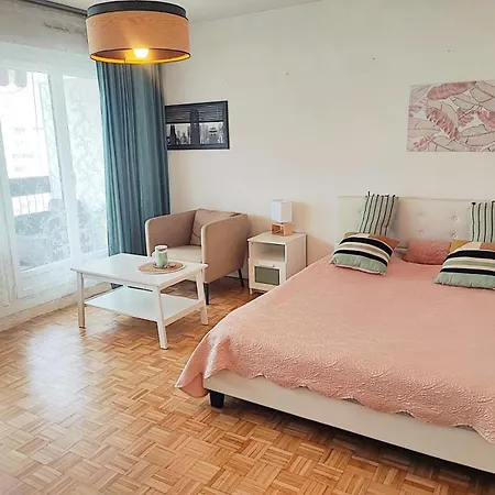 T1 Proche De Geneve - Parking, Zone Calme Et Bien Desservie - Belle Vue Apartment