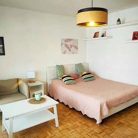 Apartment T1 Proche De Geneve - Parking, Zone Calme Et Bien Desservie - Belle Vue